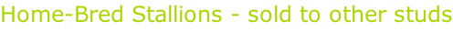 Home-Bred Stallions - sold to other studs