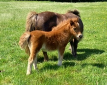 Arabella 27th May.jpg