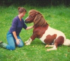 mrkips02.jpg