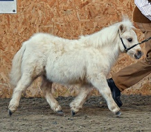 Aloysius SWSPG 2024 1.jpg