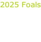 2025 Foals